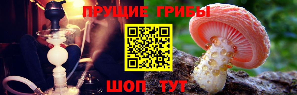 Псилоцибиновые грибы Psilocybine cubensis  Вход с VPN  Псилоцибиновые грибы ЛСД  Серпухов 